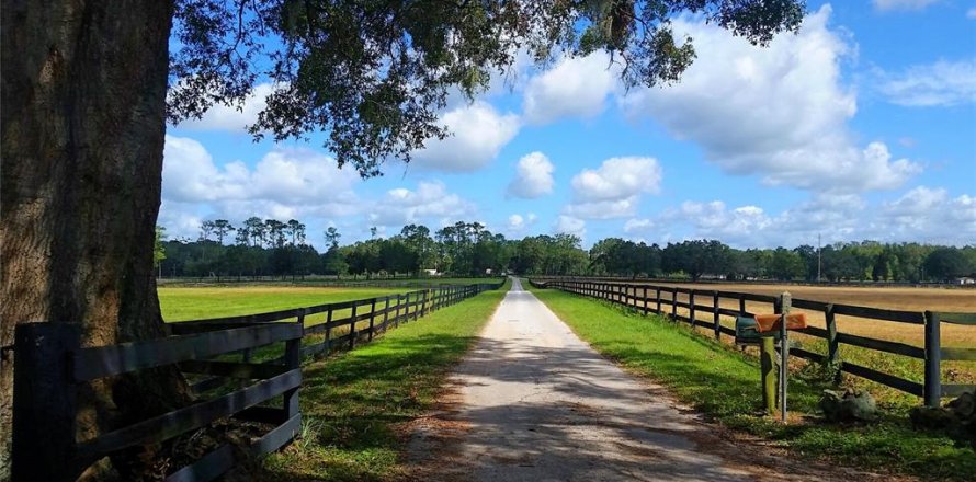 Terrain à Ocala, Floride № 2299114
