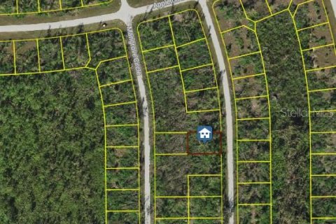 Land in Port Charlotte, Florida № 2218382