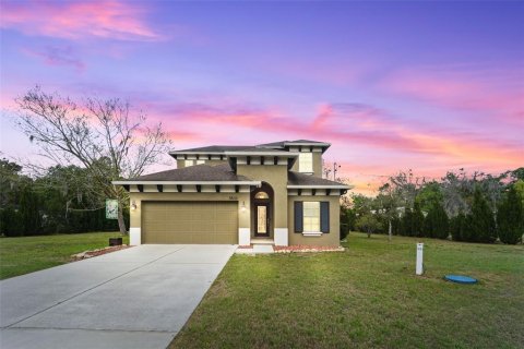 Villa ou maison à Land O' Lakes, Floride 4 chambres, 202.9 m2 № 2116353