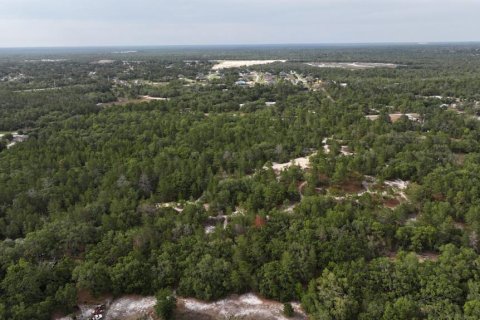 Terrain à vendre à Brooksville, Floride № 2202050 - photo 3