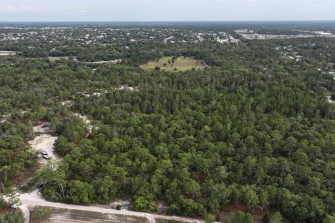 Terrain à vendre à Brooksville, Floride № 2202050 - photo 2