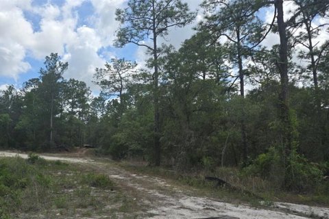 Terrain à vendre à Brooksville, Floride № 2202050 - photo 20