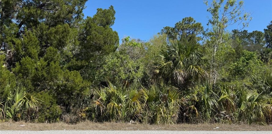 Land in Weeki Wachee, Florida № 1578860