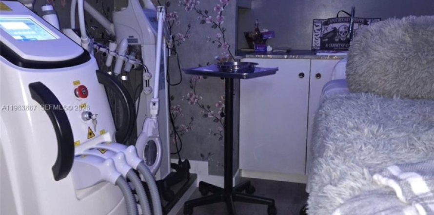 Коммерческая недвижимость в Майами, Флорида № 2051379