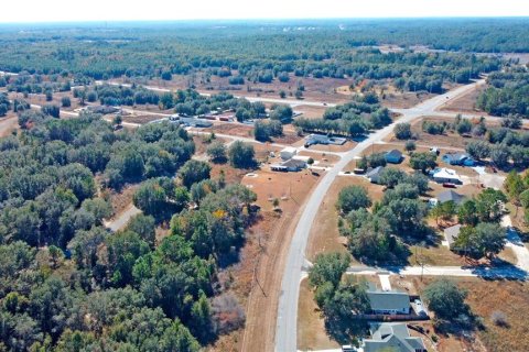 Land in Citrus Springs, Florida № 1561300 - photo 22