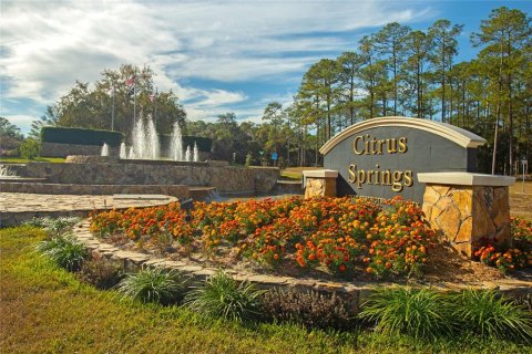 Land in Citrus Springs, Florida № 1561300 - photo 2