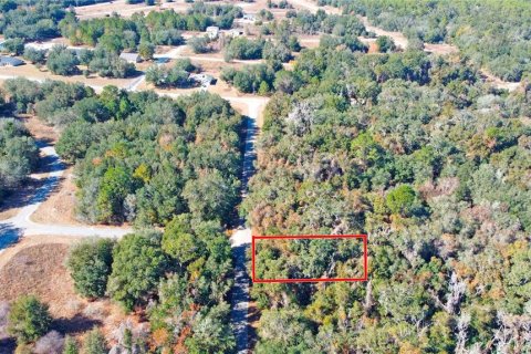 Land in Citrus Springs, Florida № 1561300 - photo 10