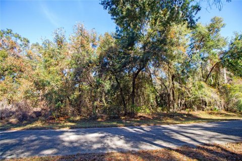 Land in Citrus Springs, Florida № 1561300 - photo 4