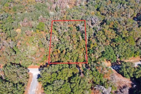 Land in Citrus Springs, Florida № 1561300 - photo 8