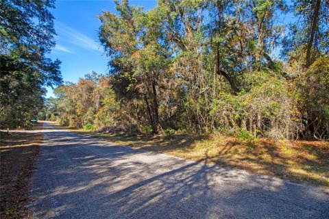 Land in Citrus Springs, Florida № 1561300 - photo 3