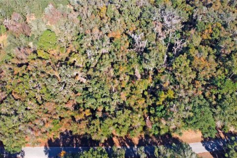 Land in Citrus Springs, Florida № 1561300 - photo 21