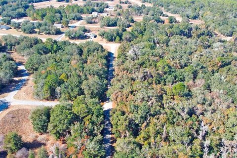 Land in Citrus Springs, Florida № 1561300 - photo 11