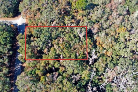 Land in Citrus Springs, Florida № 1561300 - photo 16
