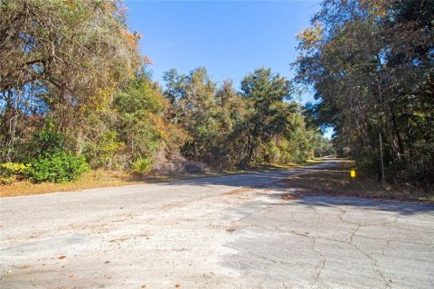 Land in Citrus Springs, Florida № 1561300 - photo 6