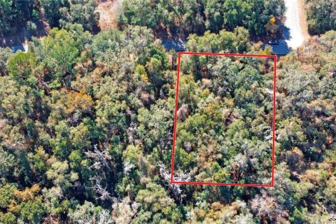Land in Citrus Springs, Florida № 1561300 - photo 18