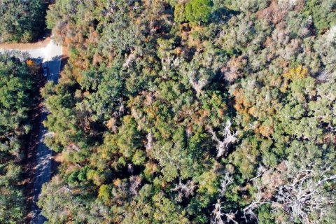 Land in Citrus Springs, Florida № 1561300 - photo 17