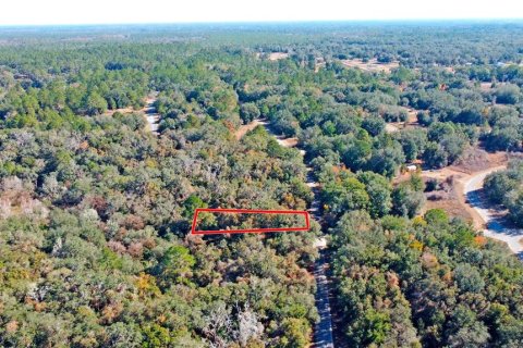 Land in Citrus Springs, Florida № 1561300 - photo 14
