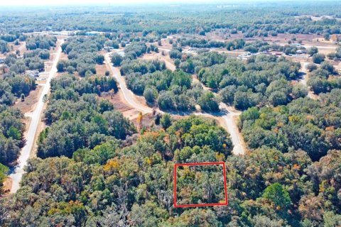 Land in Citrus Springs, Florida № 1561300 - photo 12