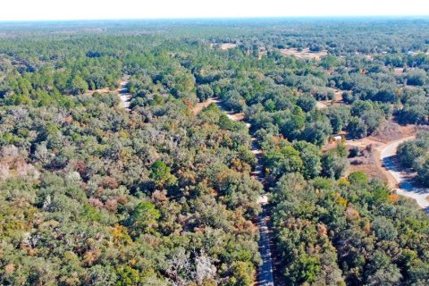 Land in Citrus Springs, Florida № 1561300 - photo 15