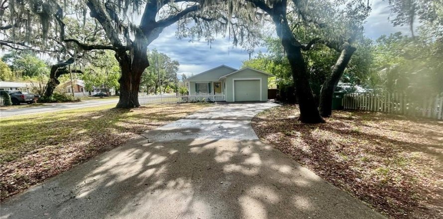 House in Mount Dora, Florida 3 bedrooms, 101.45 sq.m. № 1681658