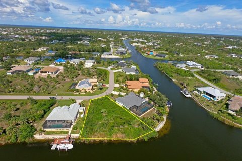 Land in Port Charlotte, Florida № 1564353 - photo 6