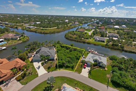 Land in Port Charlotte, Florida № 1564353 - photo 5
