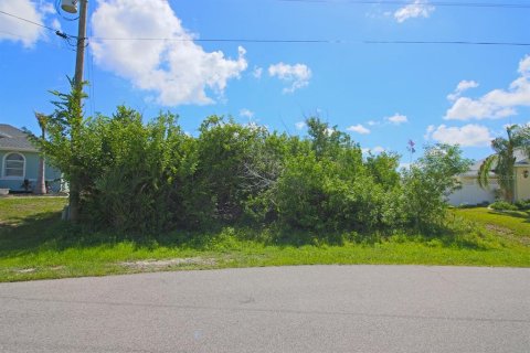 Land in Port Charlotte, Florida № 1564353 - photo 11
