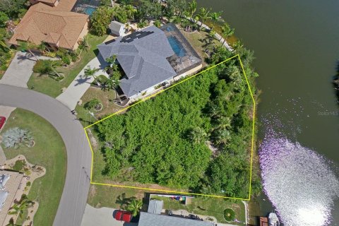 Land in Port Charlotte, Florida № 1564353 - photo 1