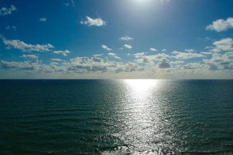 Appartement à louer à Hollywood, Floride: 3 pièces, 46.45 m2 № 2349113 - photo 9