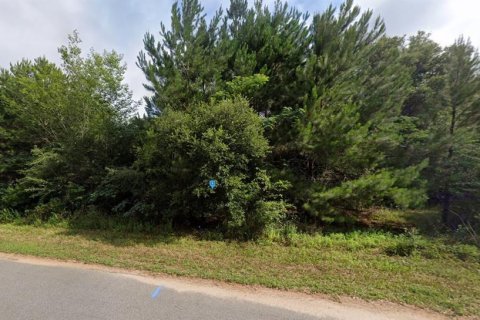 Land in Milton, Florida № 1883368 - photo 2