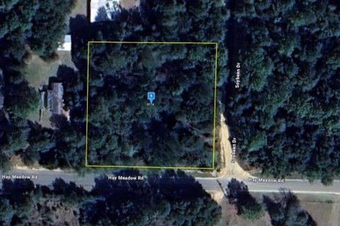 Land in Milton, Florida № 1883368 - photo 1