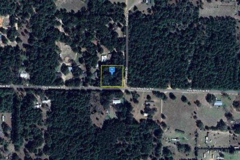 Land in Milton, Florida № 1883368 - photo 3