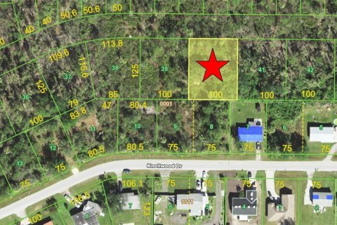 Land in Punta Gorda, Florida № 2163971
