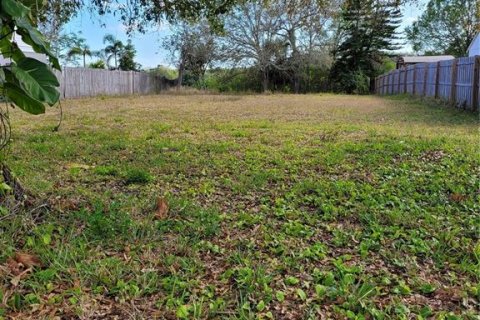 Terreno en venta en Oldsmar, Florida № 1618238 - foto 2