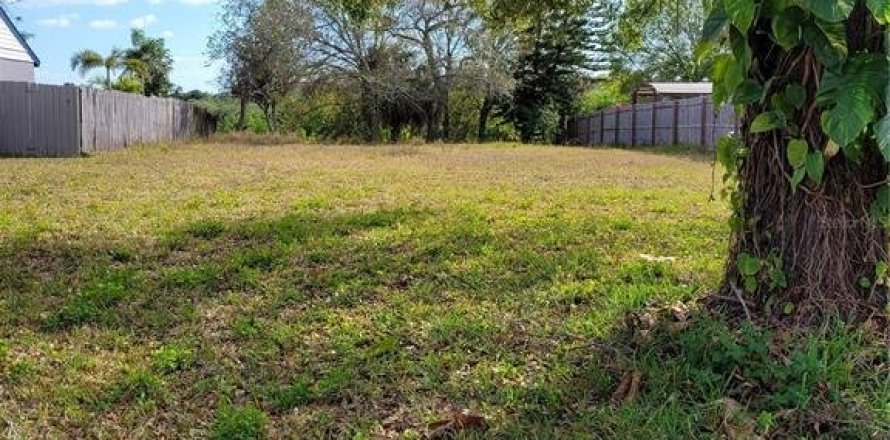 Terreno en Oldsmar, Florida № 1618238