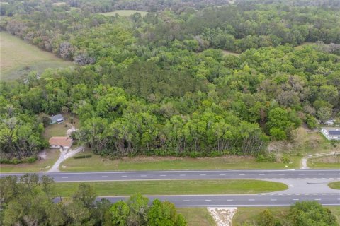 Land in Micanopy, Florida № 2111143