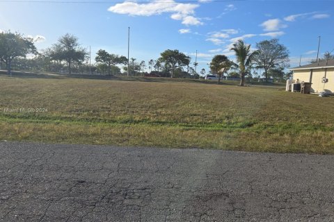 Terrain à vendre à Cape Coral, Floride № 1958848 - photo 1