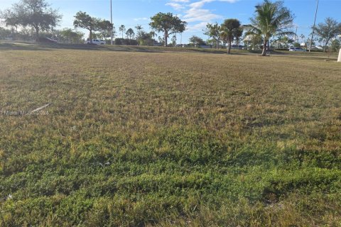 Terrain à vendre à Cape Coral, Floride № 1958848 - photo 2