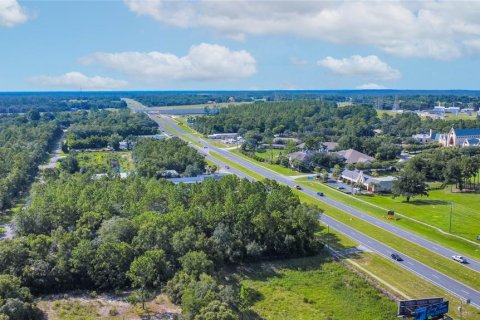 Land in Lecanto, Florida № 1854295 - photo 8