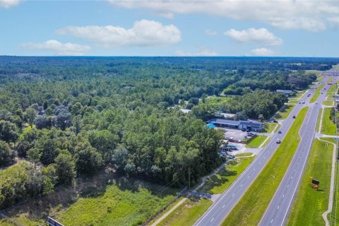 Land in Lecanto, Florida № 1854295 - photo 6