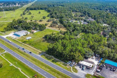 Land in Lecanto, Florida № 1854295 - photo 19