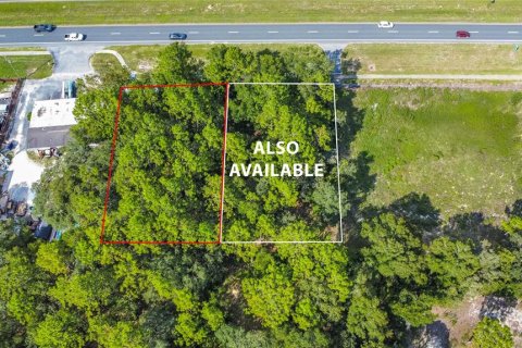 Land in Lecanto, Florida № 1854295 - photo 26