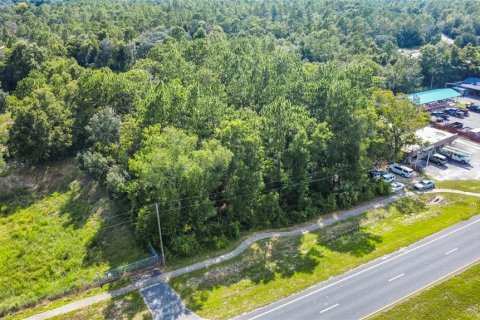 Land in Lecanto, Florida № 1854295 - photo 3