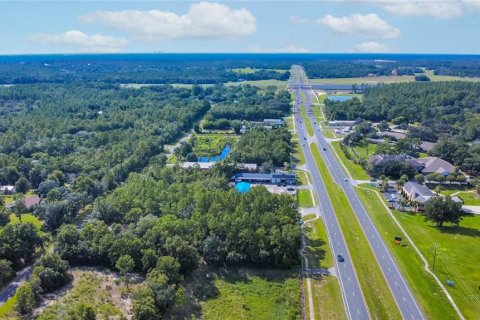 Land in Lecanto, Florida № 1854295 - photo 13