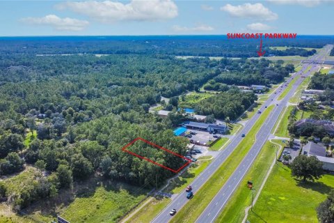 Land in Lecanto, Florida № 1854295 - photo 15