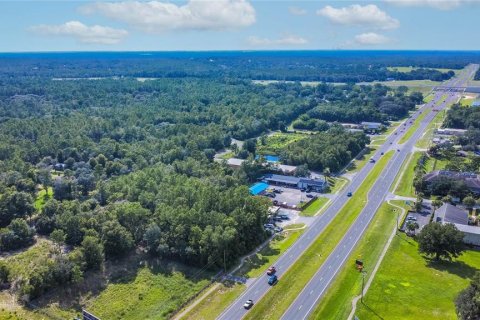 Land in Lecanto, Florida № 1854295 - photo 16