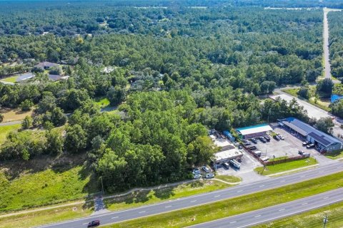 Land in Lecanto, Florida № 1854295 - photo 17