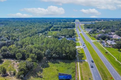 Land in Lecanto, Florida № 1854295 - photo 7