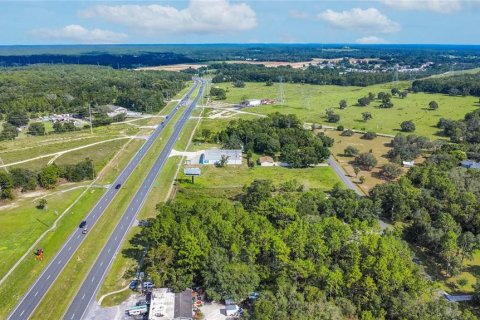 Land in Lecanto, Florida № 1854295 - photo 21