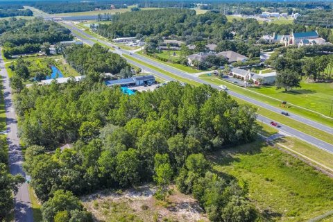 Land in Lecanto, Florida № 1854295 - photo 9